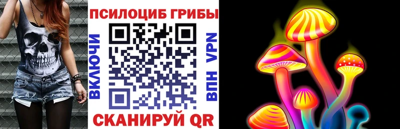 блэк спрут вход  Углегорск  Галлюциногенные грибы Psilocybe 